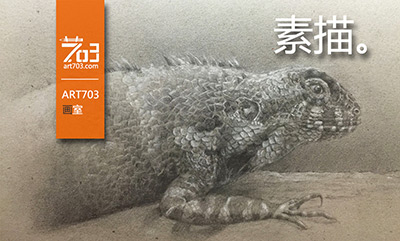 703画室放大招，第二波儿来袭>>>